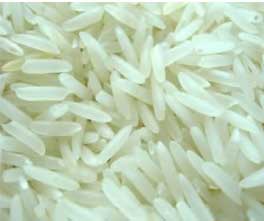Manufacturers Exporters and Wholesale Suppliers of Sugandha White Rice Nagpur Maharashtra